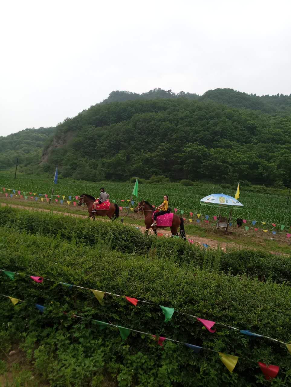 飛梭.jpg